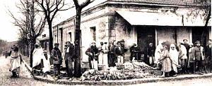 3050- Montgolfier - Marche aux Legumes2